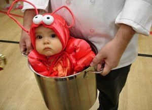 173258-lobster-pot-baby