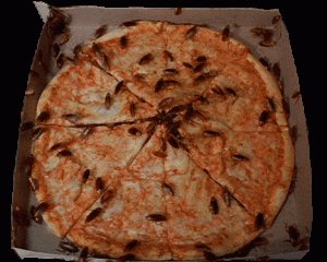 worst-gif-ever-pizza-cockroach-bugs-gross-13961793860