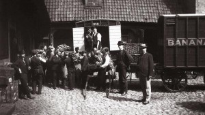 61-The-first-banana-arrived-in-Norway1905