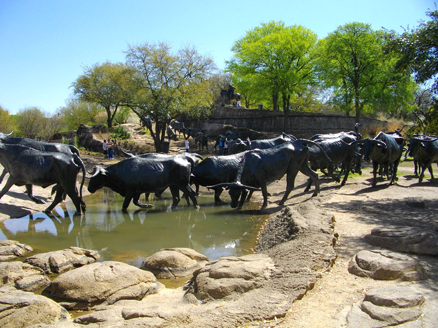 13. Cattle Drive