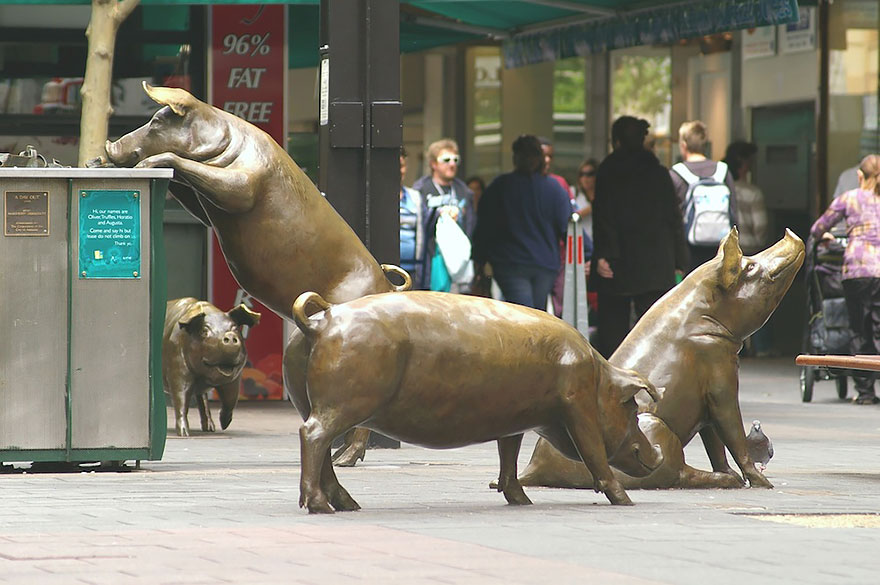 23. Rundle Mall Pigs