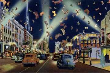 πεταλούδες