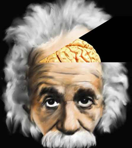 Albert-Einstein-brain-body-part