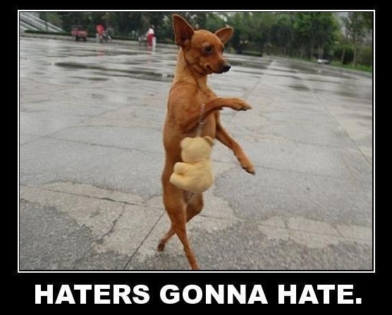 frabz-HATERS-GONNA-HATE-7fbe15