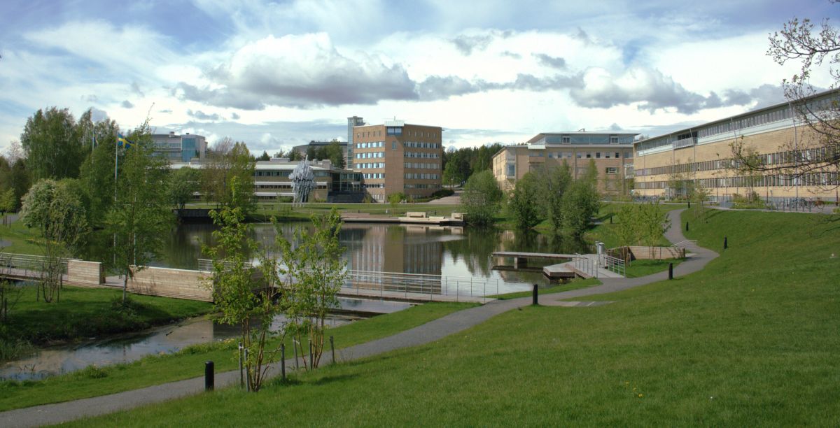 Umeå_University_Campus_pond-2012-06-06
