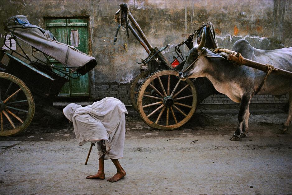 Steve McCurry