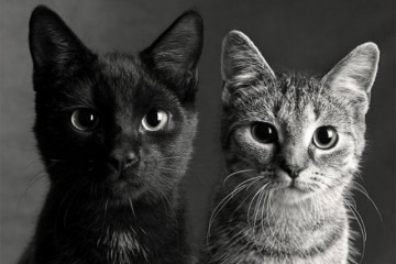 πασχαλινό bazaar