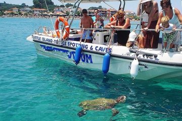 θαλάσσιες χελώνες