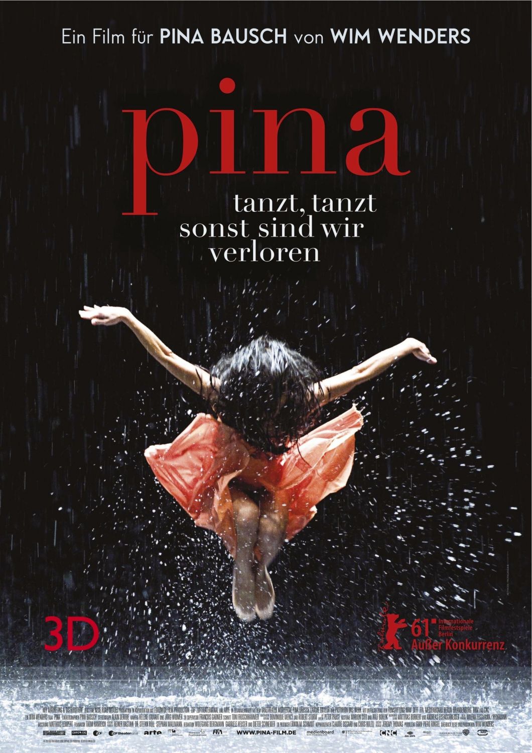pina2011