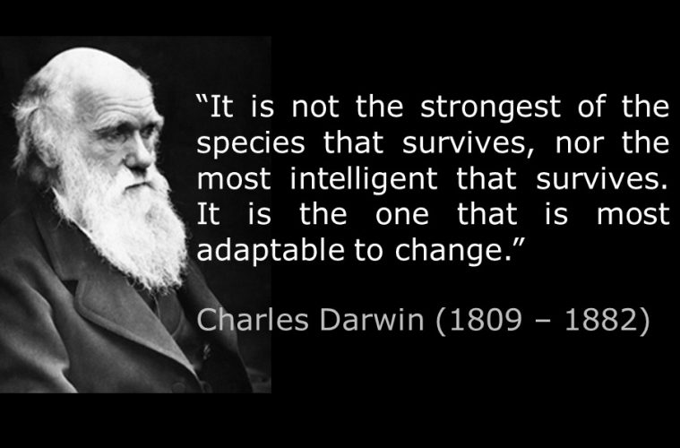 Δαρβινική θεωρία: Τι ακριβώς εννοούσε ο Δαρβίνος και τι έχουμε ...