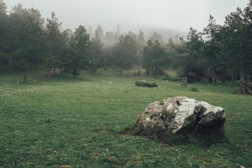 Πάρνηθα