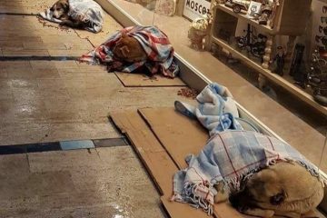 υπάρχει ακόμα ελπίδα