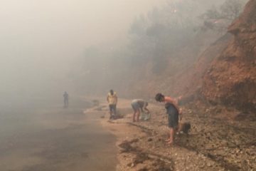 φωτιά στην αττική