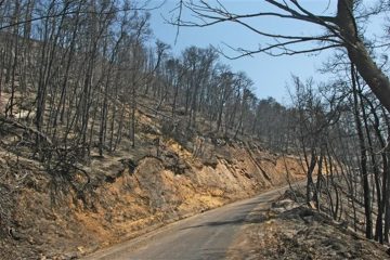 καταστροφικές πυρκαγιές